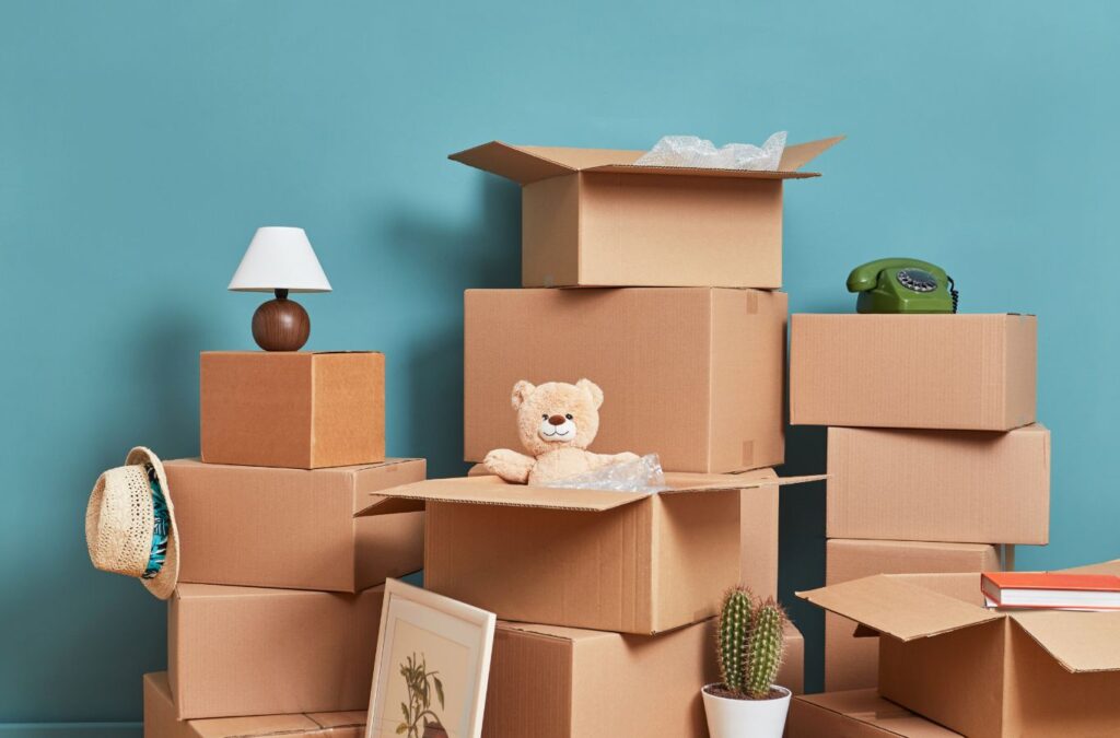 A Sunshine Cleaners expert delivering high-quality move out cleaning in New Tampa, FL, demonstrating expertise. Move Out Cleaning near me.